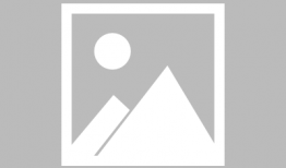 虐狗漫画,揭示人性阴暗面的残酷寓言